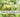 pæretræ plantning guide