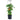 Tomatentopf mit Spalier 12 Liter