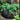 Rundes Filz-Hochbeet Ø:90 H:30 cm